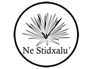 Mezcal Ne Stidxalu