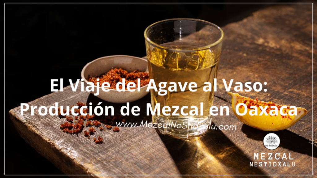 El Viaje del Agave al Vaso: Producción de Mezcal en Oaxaca